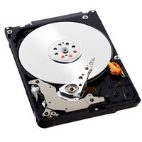 Western digital 320GB Scorpio Blue (WD3200LPVT)